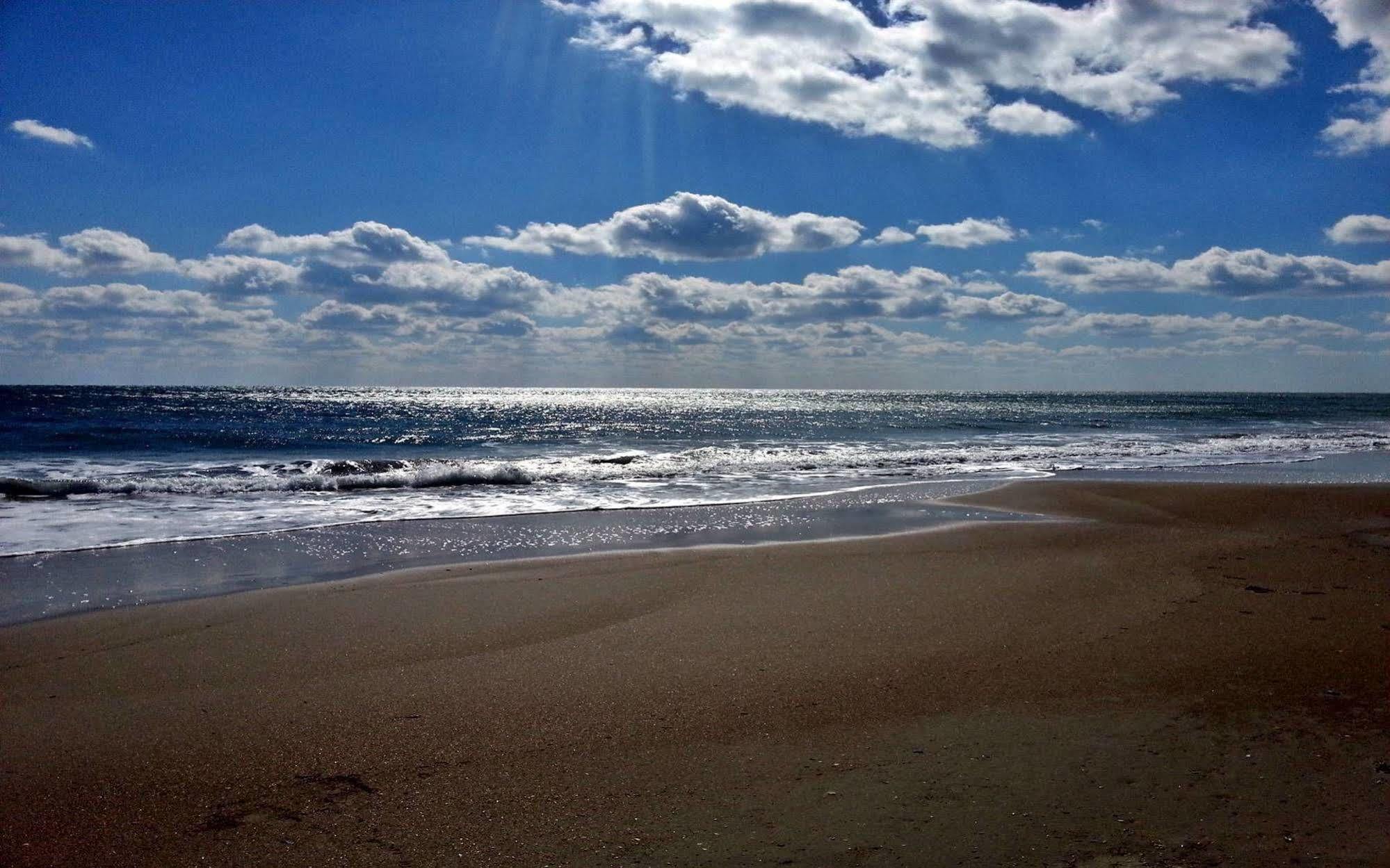 Ocean Beach Hotel Taean Esterno foto